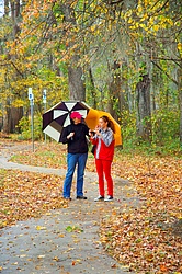 Umbrellas_Lake_Caddo.jpg