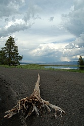 Yellowstone-632.jpg