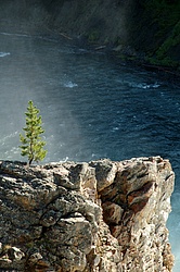 Yellowstone_Upper_Falls.jpg